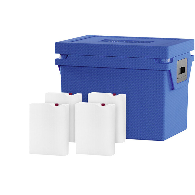 Kühlbox SET Größe M  / Standard Fozen