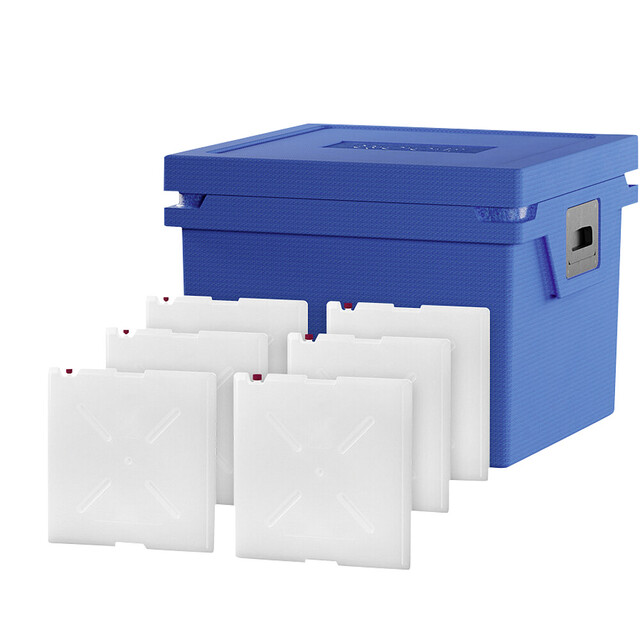 Kühlbox SET Größe L  / Standard Frozen